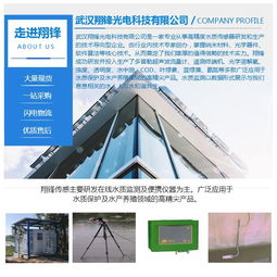 河北多普勒超聲波流量計(jì)廠(chǎng)家推薦 武漢翔鋒光電科技